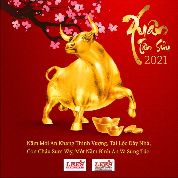 Wish you and your family a happy lunar new year!
